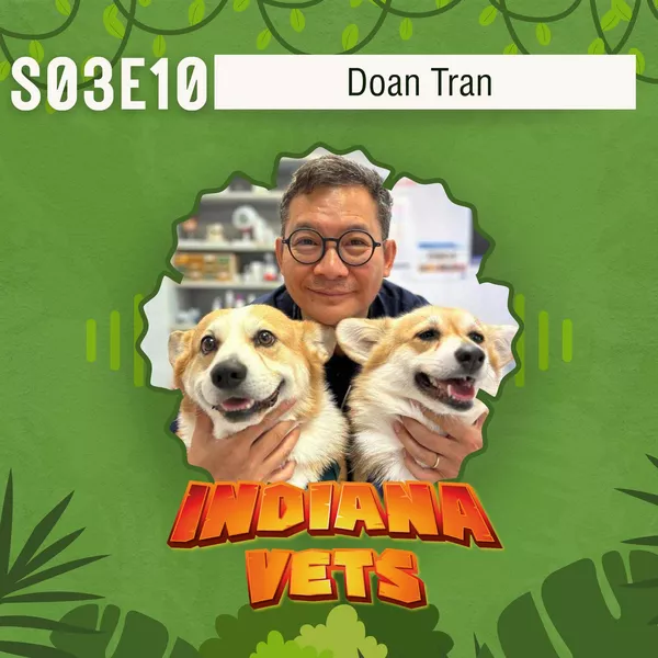 S03E10/ Doan Tran: Cure, care et neurones en l’air... mode d’emploi pour vétos hors-normes