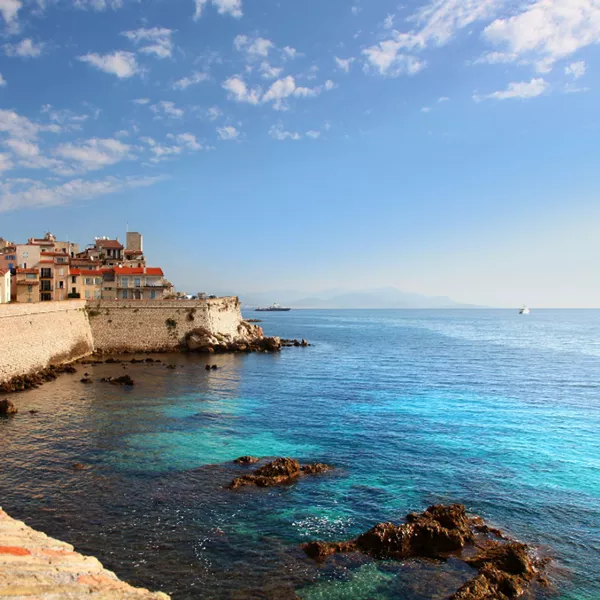 Dératisation Antibes : comment éliminer durablement les rats et souris de votre habitation ou commerce