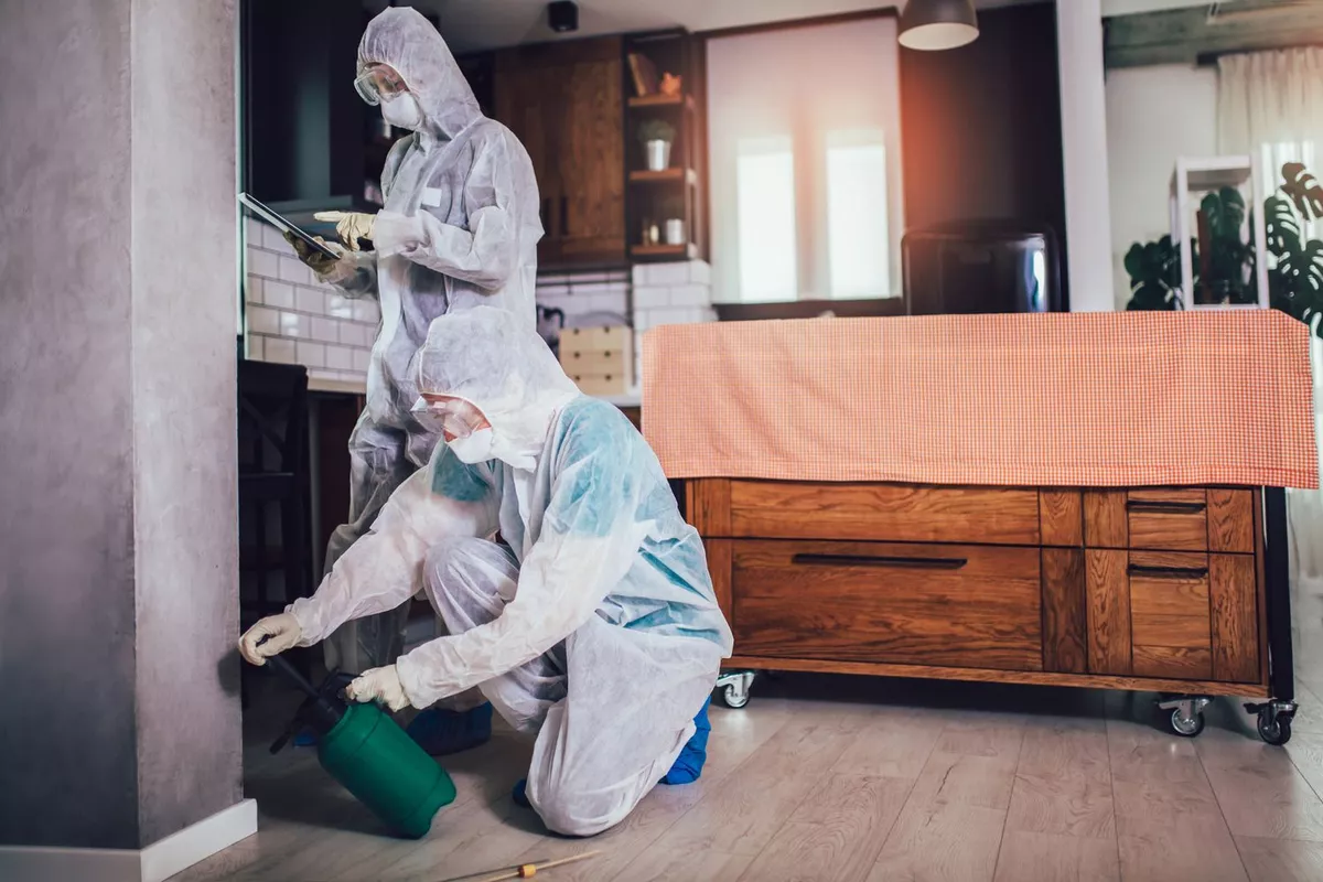 Service de dératisation et traitement anti-nuisibles