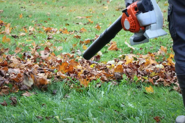 Entretien des espaces extérieurs