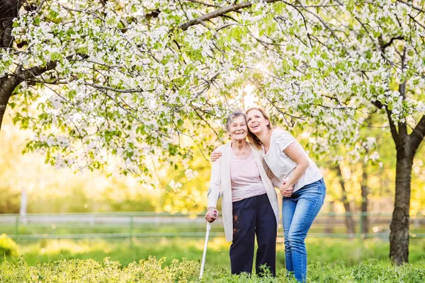 Accompagnement en promenade pour personnes âgées – Lyon et alentours
