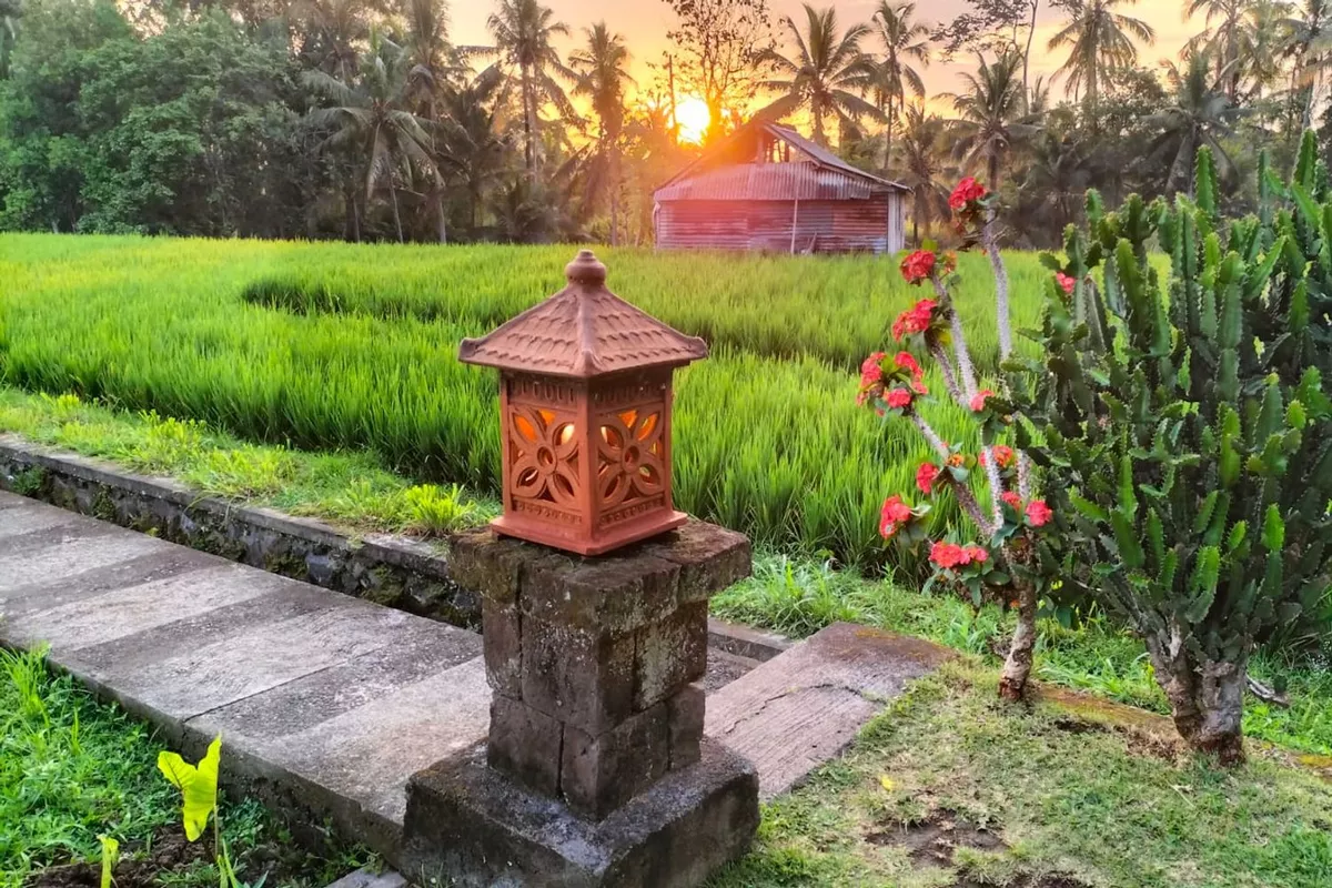 Retraite Bien-être & Empowerment Féminin à Bali