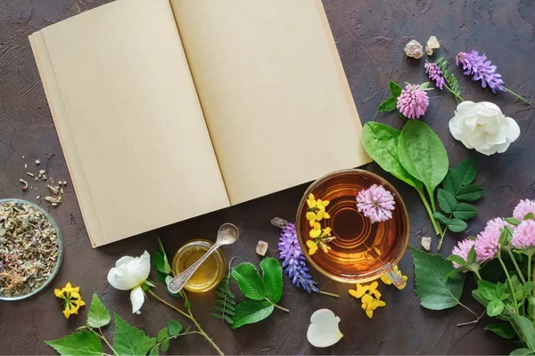 Consultation pour bilan naturopathique