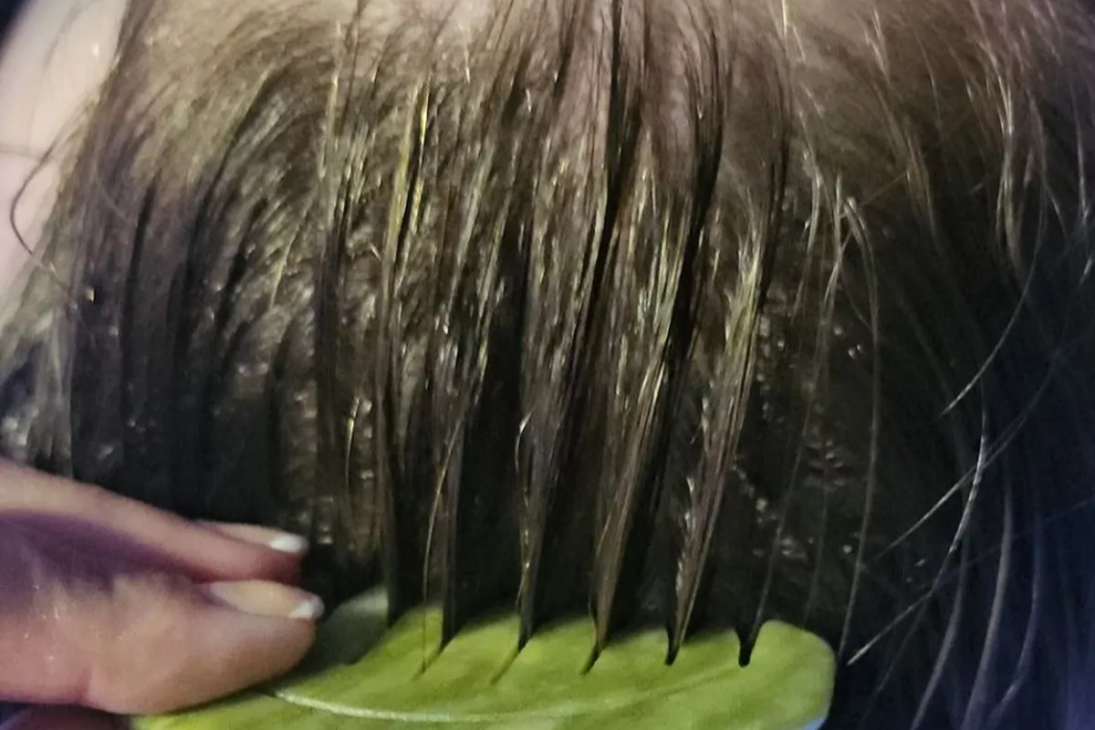 Séance Tulipe - Head Spa (cheveux courts)