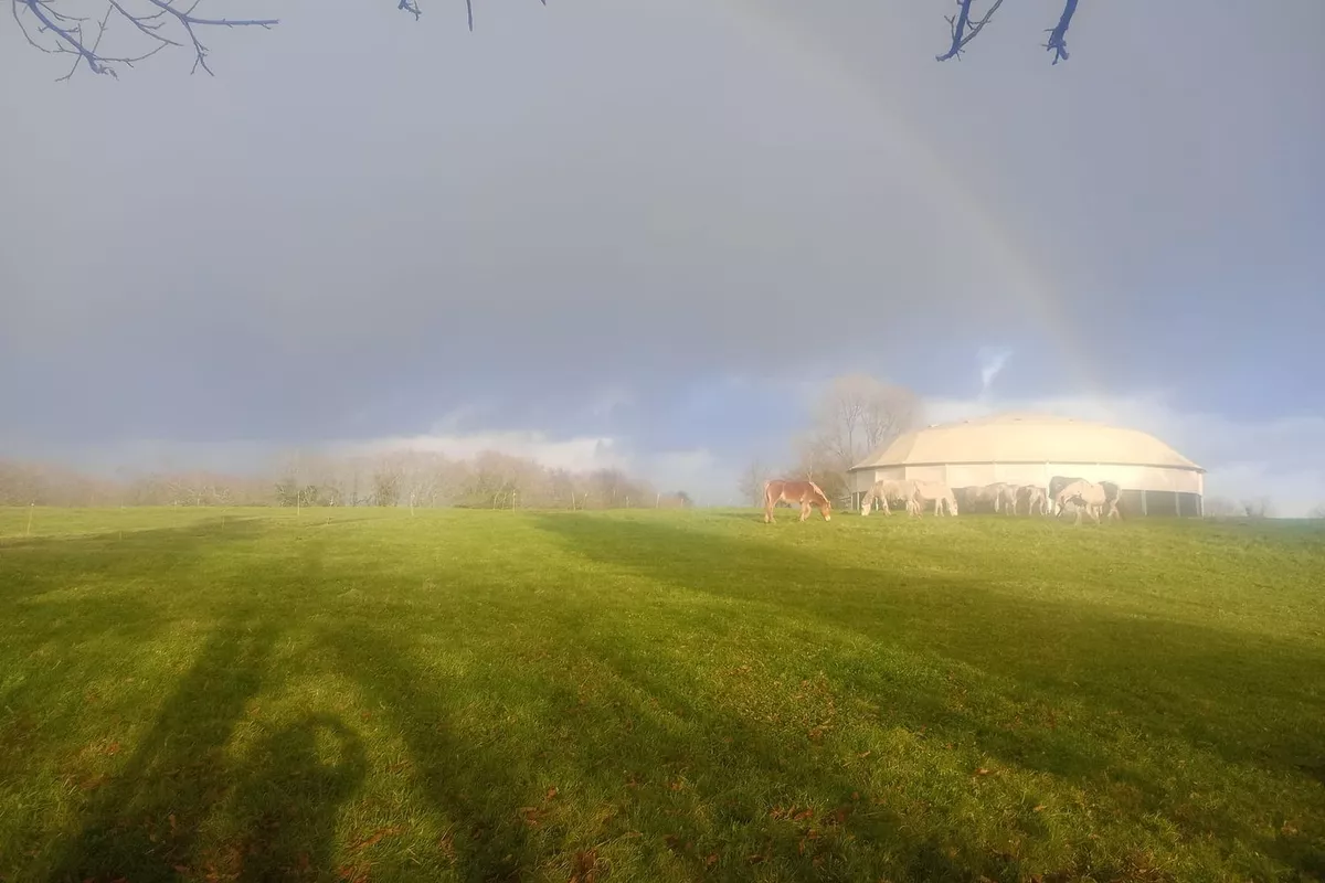 thérapie assistée par le cheval Langolen