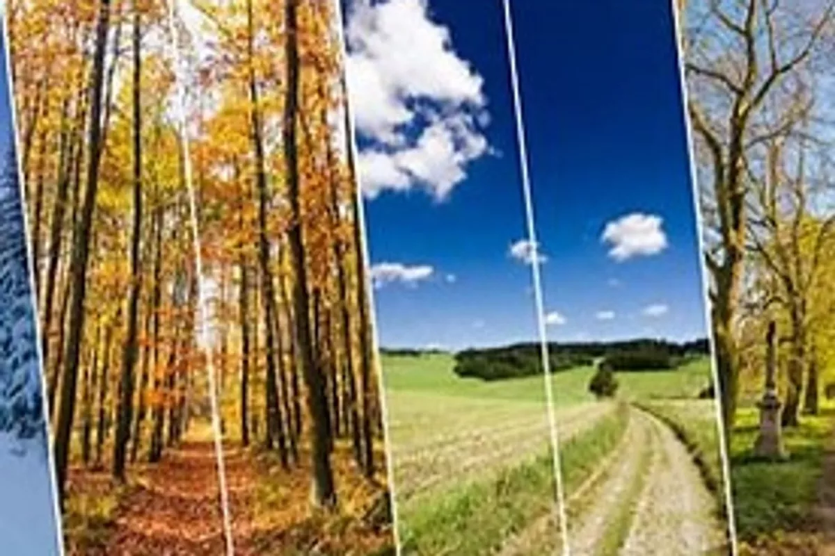 🌞 Ateliers Saisonniers