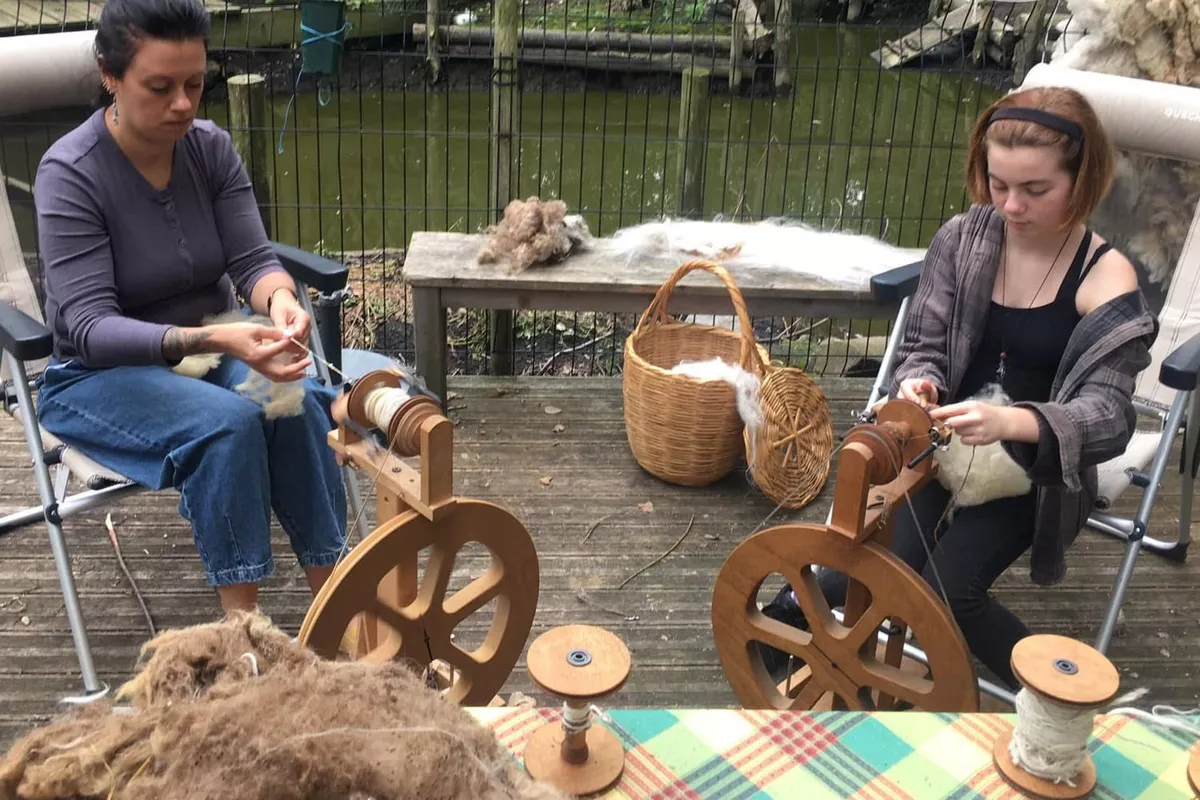 Atelier Immersion filage de laine au rouet  4h