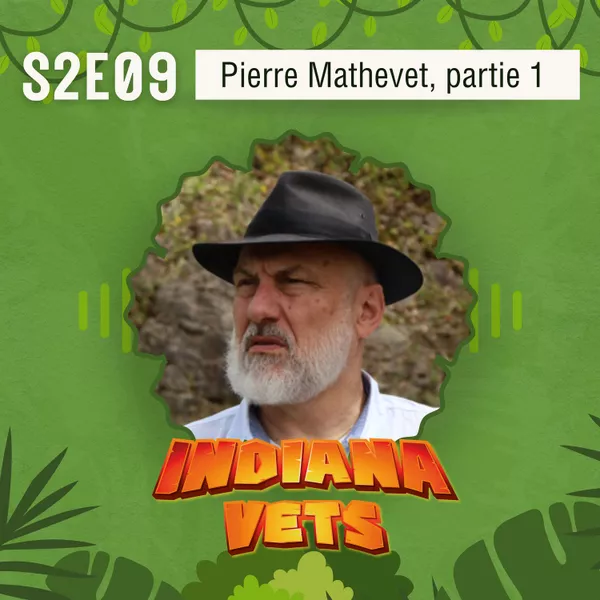 S02E09/ Interview de Pierre Mathevet, un tuteur de la forêt vétérinaire ! 🌳