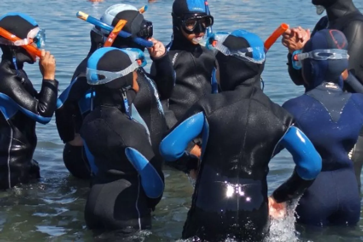 Randonnée Palmée / Snorkeling à Chausey (avec guide obligatoire) - Forfait de 2h