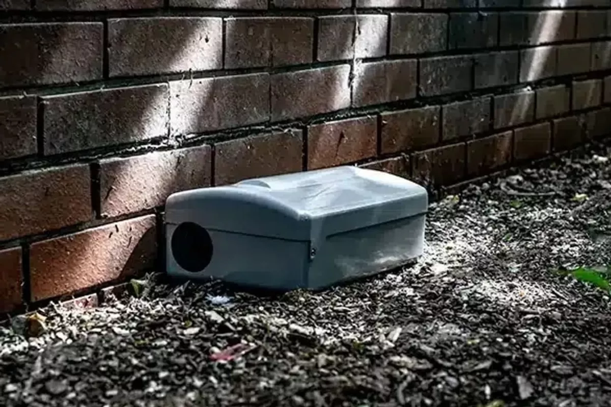 Dératisation  Cagnes-sur-Mer