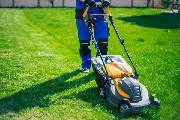 Tonte de pelouse & entretien de jardin