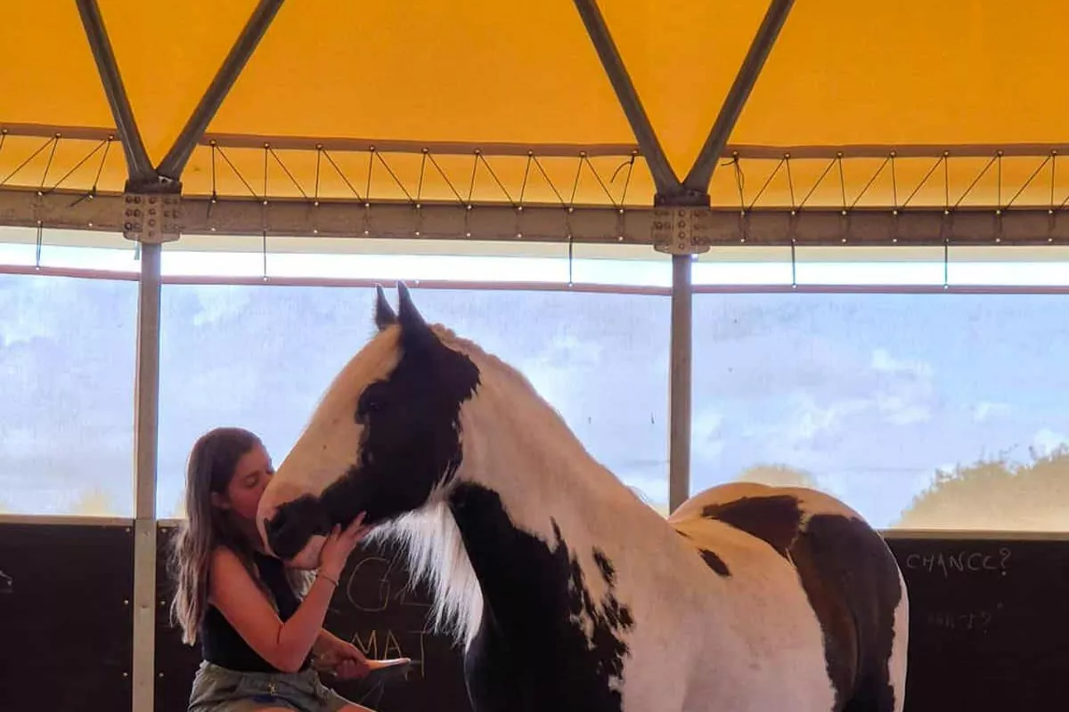 Activités de loisirs pour enfants Langolen