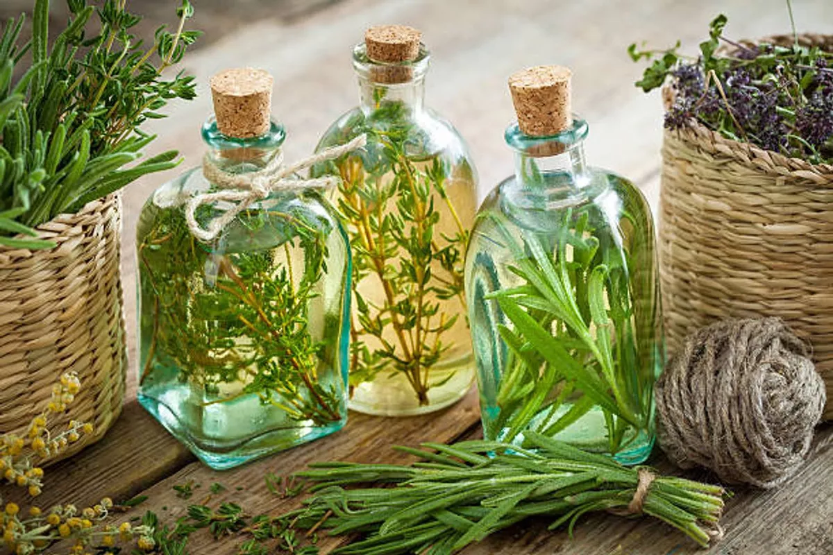 Consultation de suivi Naturopathique à Angers ou en visio