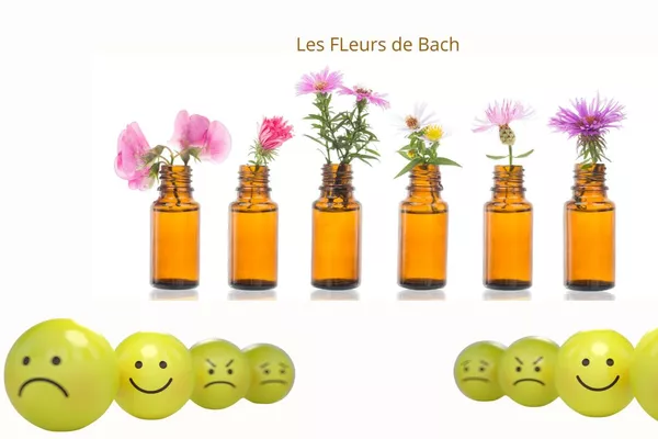 Conseil en Fleurs de Bach avec bilan et personnalisation des quintessences florales