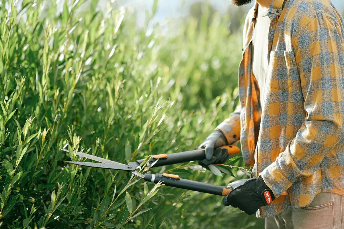 Entretien des espaces verts
