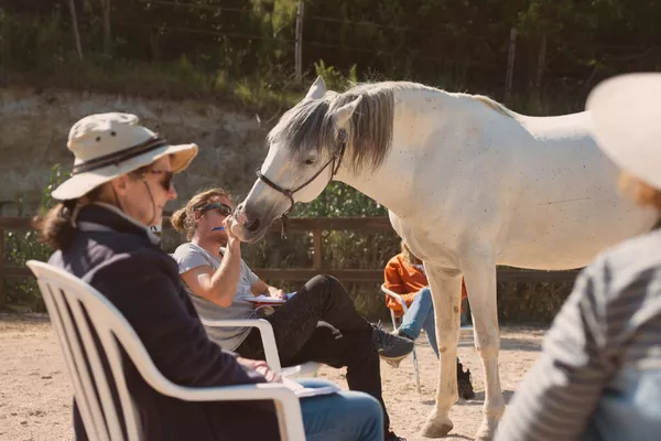 Journée de pratique supervisée en communication animale