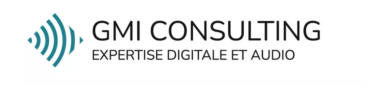 GMI CONSULTING