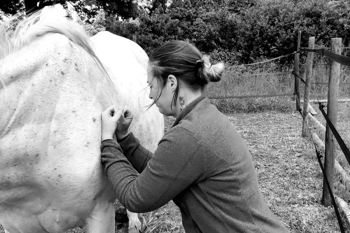 🪶Massage Intuitif Equin & Canin (disponible à la rentrée 2026)