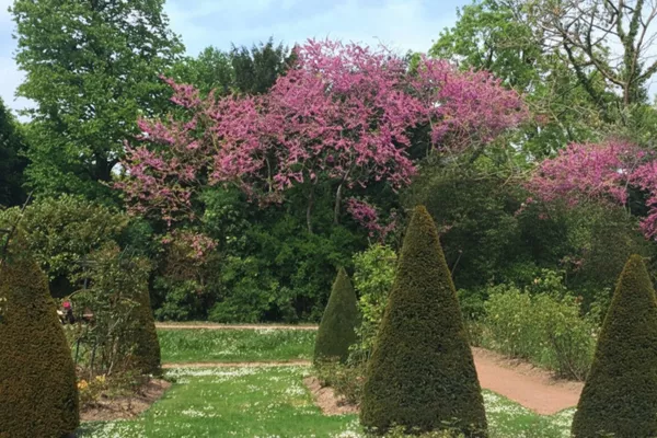 Plantation d’arbres, arbustes et végétaux décoratifs