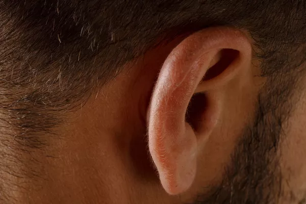 Oreilles