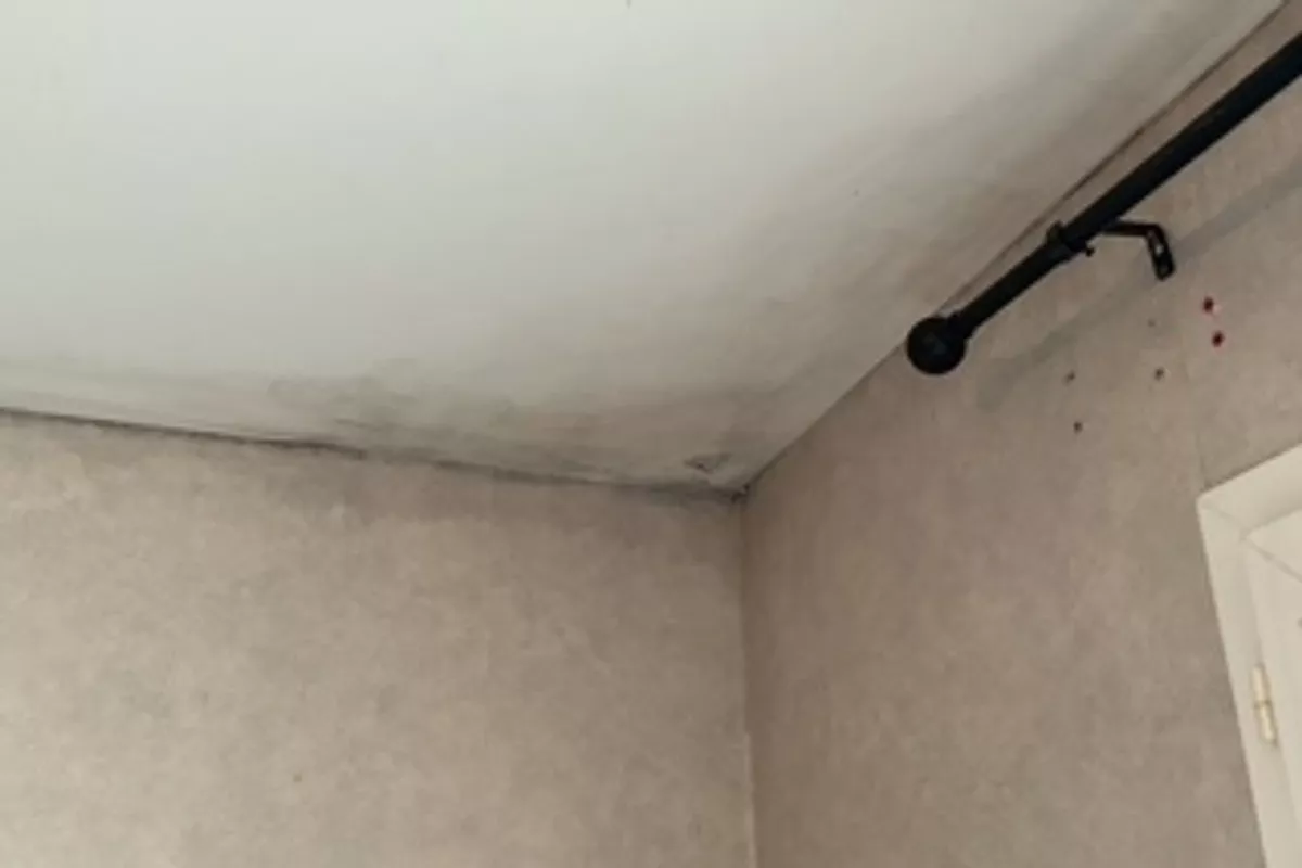 Petits travaux et entretien extérieur Vitré