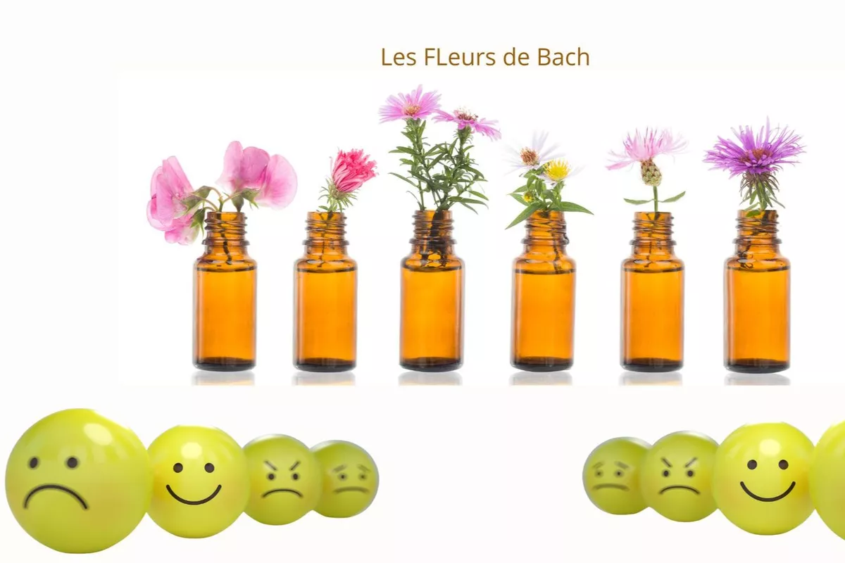 Conseil en Fleurs de Bach avec bilan et personnalisation des quintessences florales