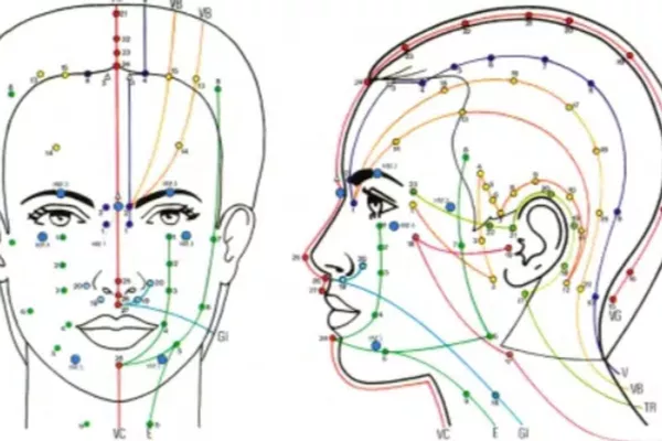 Massage Japonais du Visage et du Crâne Anti-âge