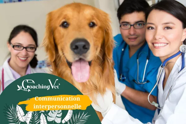 Formation complète en communication interpersonnelle