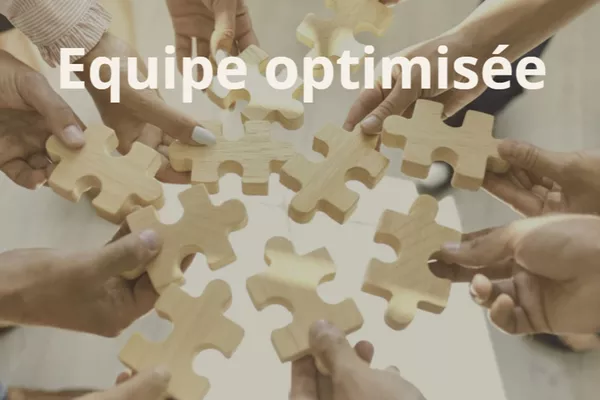 Audit performance & engagement - activer le potentiel collectif