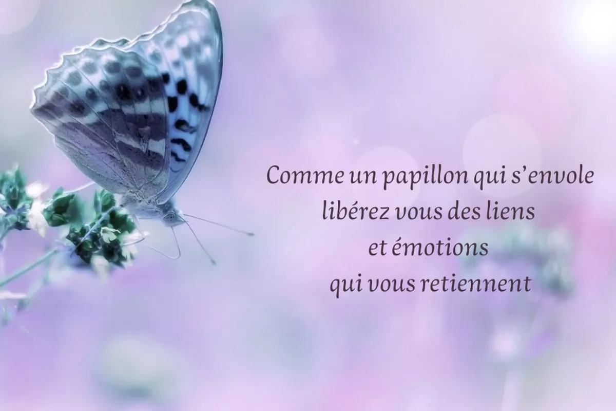 Naturopathe Angers