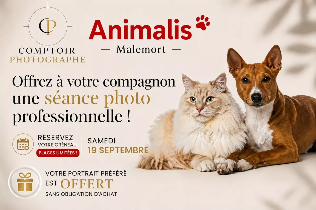 Animalis Malemort-Séance photo offerte sans d'obligation d'achat