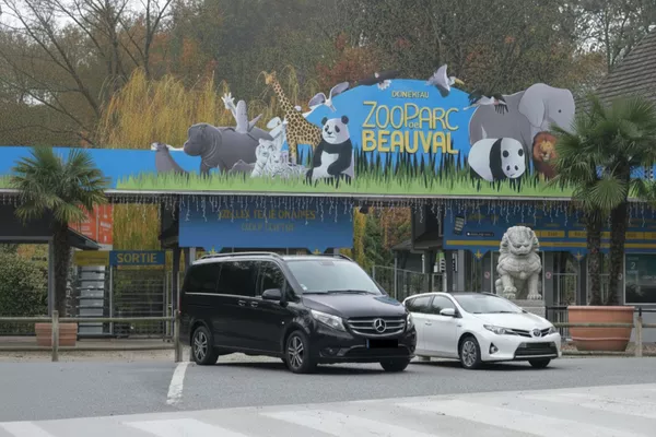 Excursion Privée “Zoo de Beauval” en VTC – À la Rencontre des Animaux du Monde