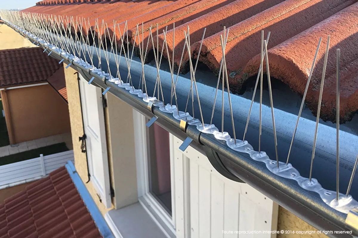 Rénovation de façade Le Lavandou