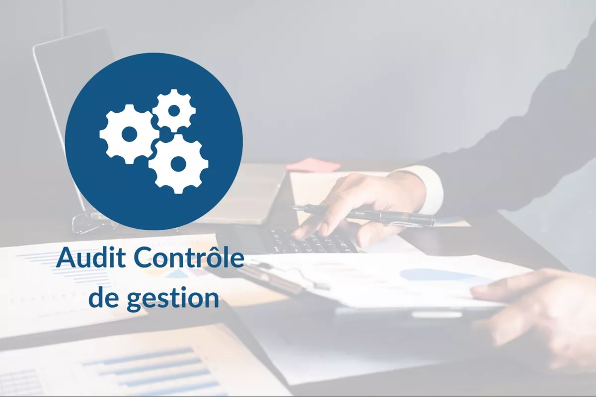 Audit interne et contrôle de gestion