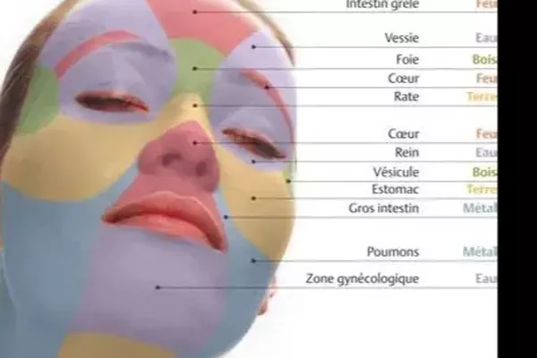 réflexologie faciale