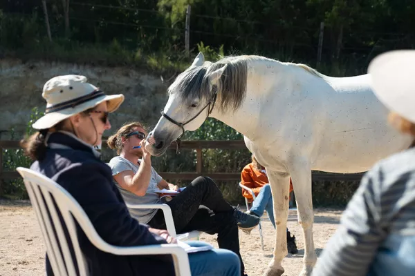 Atelier Initiation à la communication animale pour adultes