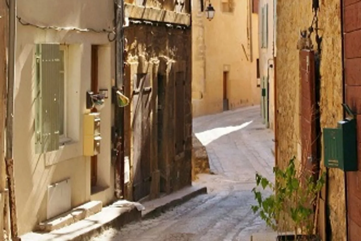Traitement moustiques pour villas et événements à Draguignan