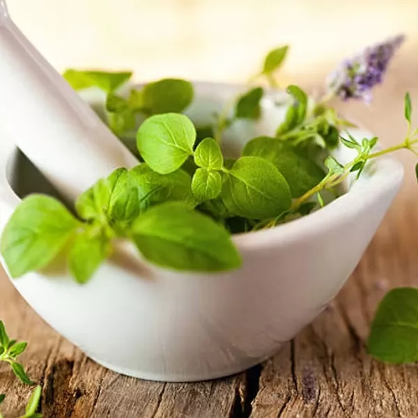 La naturopathie, une approche globale pour retrouver son équilibre