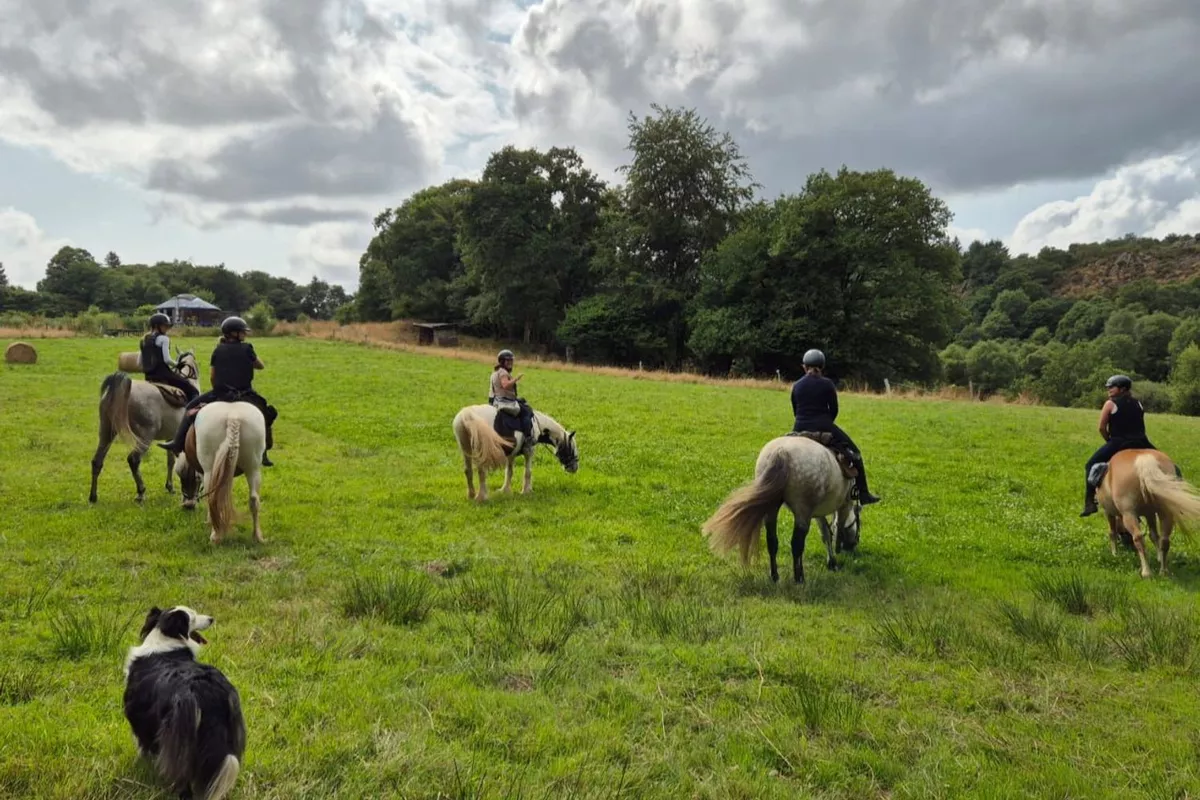 Journée de randonnée adulte