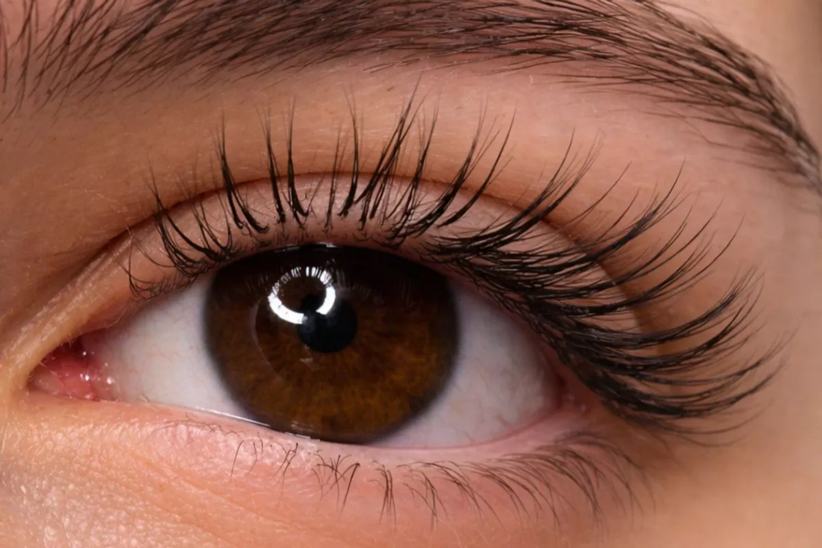 EXTENSION DE CILS ( CILà CIL)