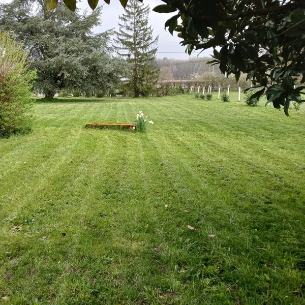 Tonte de pelouse à chatillon sur indre