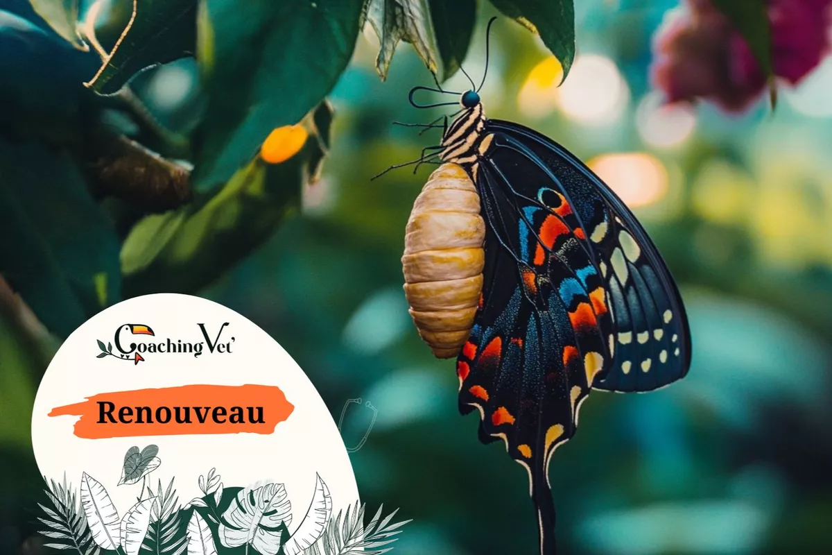 Cap renouveau – Se réinventer après un burnout ou une perte de sens dans sa carrière vétérinaire