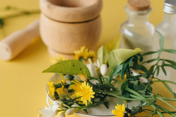 Bilan en naturopathie