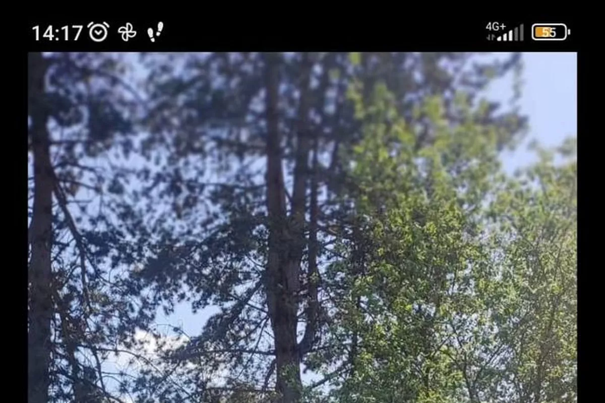 Massage jambes lourdes Annouville-Vilmesnil