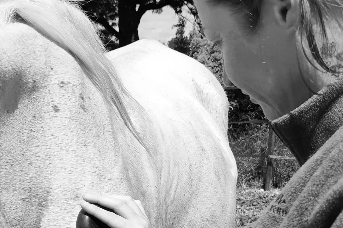🪶Massage Intuitif Equin & Canin (disponible à la rentrée 2026)