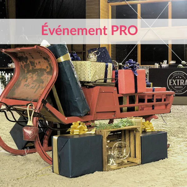 Décoration et ambiance sur mesure pour l’événement EXTRA Horses