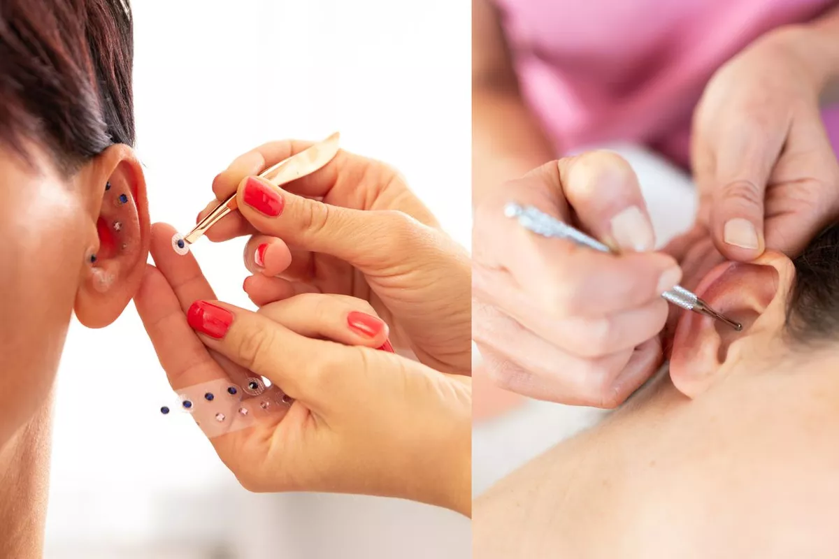 auriculothérapie ( réflexologie auriculaire ) Montrouge