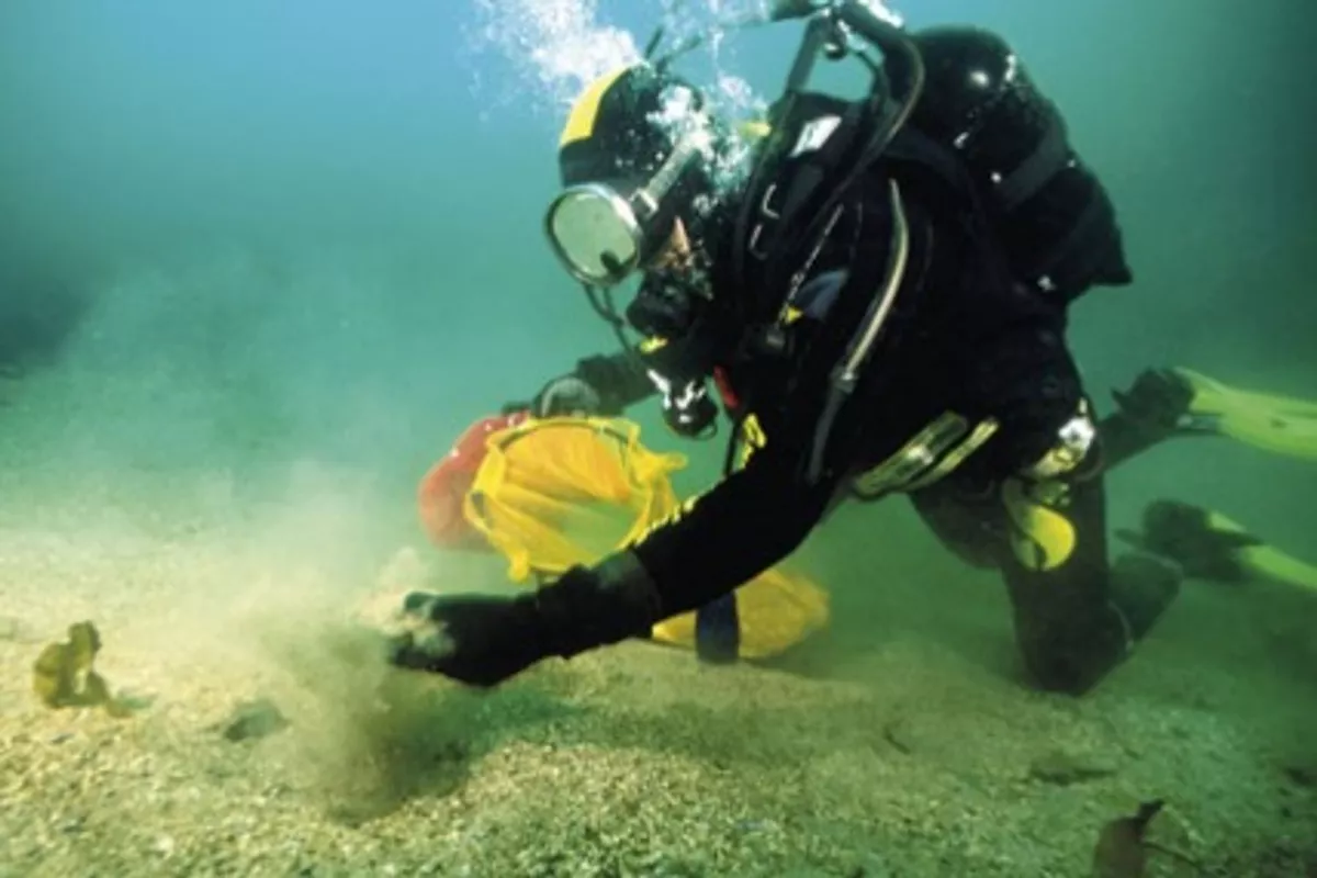 Excursion Sous-Marine équipement compris : Pêche à Pied et (Apnée si déjà des compétences) aux coquilles Saint-Jacques (Journée Complète)
