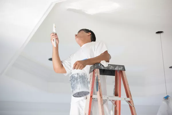 Peinture de Murs et Plafonds (chambres, salons, cuisine, salle de bain ...)