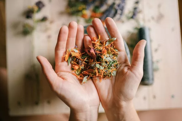 Consultation de suivi en naturopathie